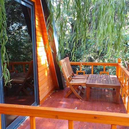 Trinitys Forest Bungalows Kemer Exterior foto